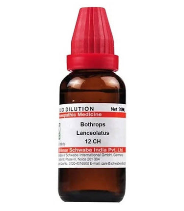 https://cdn.shopify.com/s/files/1/1857/6931/products/BqBG8I3bLl.jpg?v=1640865747